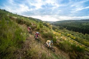 Stoneman Arduenna Mountainbike-Tour/Event in Belgien